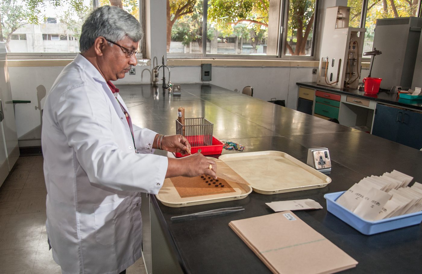 Sequencing Knowledge and Experience